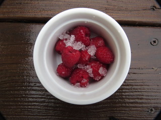 Red Raspberries in Pink or White Mug or Ramekin in Snow in Winter on Dark Wood Background