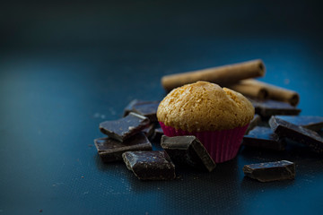 Vanilla muffin with pieces of black chocolate on a dark background. Side view.