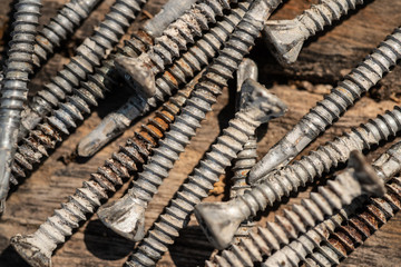 Screws on wood texture.