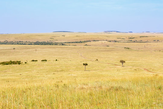Beautiful african savannah landscape view