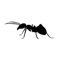 silhouette of insect ant