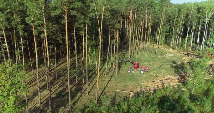 The forestry industry. Pine Forest Harvesting Machine. Logging Equipment. The harvester lumberjack working in a forest. Forest Wheeled Harvesters. A cut-to-length (CTL) forest harvester. 