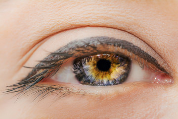 Fototapeta premium Female eye with long eyelashes and professional make-up close-up macro