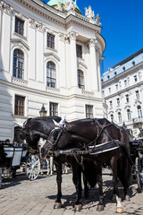Fototapeta na wymiar Horse-drawn carriages in front of the Hofburg Imperial Palace in Vienna