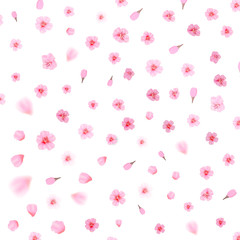 Pink cherry blossom  with falling leaves. Isolated on white background. Spring composition with sakura. Vector illustration