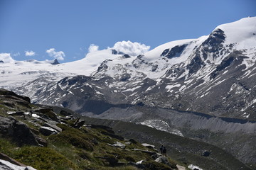 Fototapeta na wymiar The Five Lake Hike (Zermatt, Switzerland)