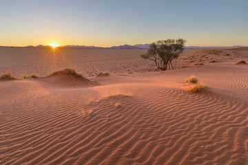 Fototapeta na wymiar Sunset on the dune
