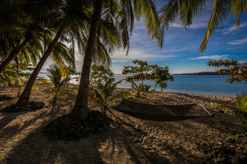 tropical beach with hammock