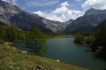 Naklejka na ściany i meble Lake Derborence (Switzerland)