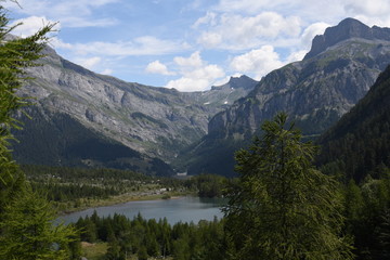 Naklejka na ściany i meble Lake Derborence (Switzerland)