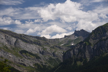 Fototapeta premium Lake Derborence (Switzerland)