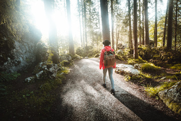 Rear view of a woman hiker trekking a trail path in forest. Female backpacker exploring nature walking through the woods under the rays of the morning sun