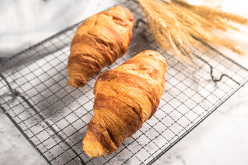 French delicious croissants on light background