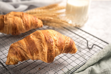 French delicious croissants on light background