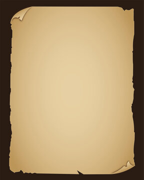 Vintage brown paper design, vector illustration