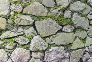masonry wall and moss