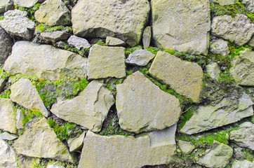 masonry wall and moss