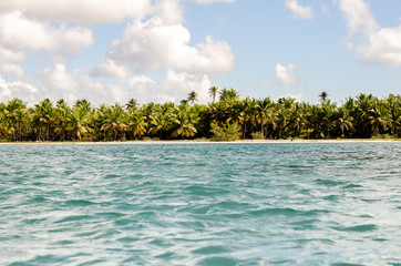 beautiful sunny beach at dominican republic