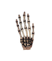 monster glove on white background