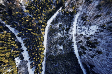 Winter forest Pine and spruce with a road path in the snow. Seperating the trees. Sunset Light shines the tree tops on one side, pattern structure look on snow
