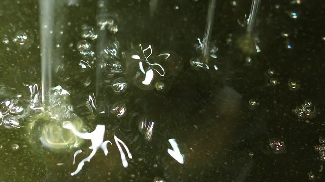 Sustainable biodiesel macauba palm oil, being produced in a factory.