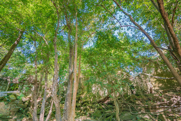 ベンメリア遺跡