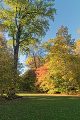 Colorful autumn in the park.