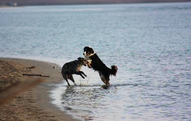 Bocca di Serchio 2009