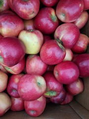 Apples at the farmer's market