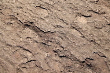 Brown color stone natural surface texture background