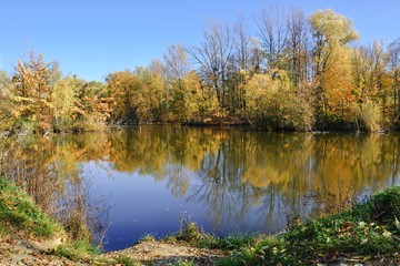 Autumn colors at the pond.  East Moravia. Czech Republic. Europe.
