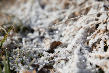 Abstract close up of frost on grass