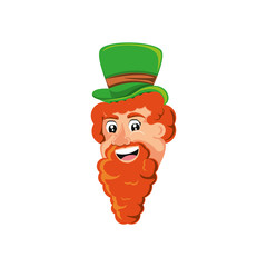 head of leprechaun avatar character