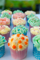 Homemade, colorful cupcakes on white background