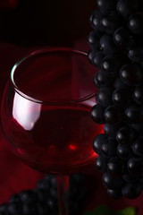 A glass of red wine and a branch of black grapes on a dark red background