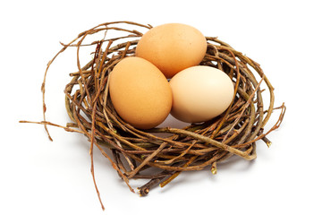 chicken eggs in nest on white background, easter concept