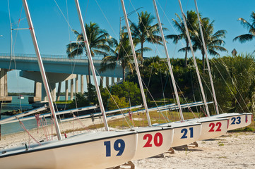 Front view, medium distance of a row of grounded day, sailboats at a tropical marina on a sunny, winter day