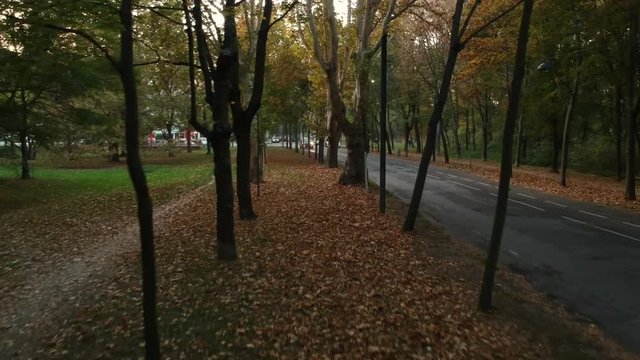 AERIAL Drone shot: Flying parallel to a road in The Prater Leopoldstadt, Vienna.