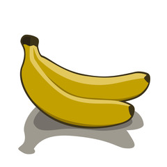 yellow bananas isolated