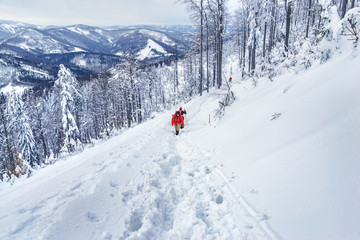 tourists going into the mountain in Silesian Beskids