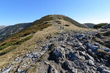 View the meadows in The Vratna valley at the national park Mala Fatra