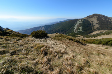Fototapeta premium View the meadows in The Vratna valley at the national park Mala Fatra