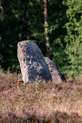 Megalithalage Oldendorfer Totenstatt mit Großsteingräber in Amelinghausen