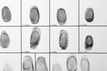 Police form with fingerprints, top view. Forensic examination