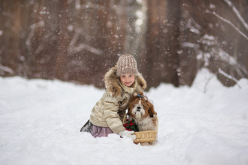 Cute girl with a fluffy dog and with a bouquet of flowers in a winter snowy day in the forest. The girl next to the dog holds a basket of flowers.
