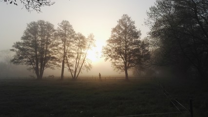Fototapeta na wymiar Nebel auf dem Land