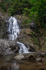 Fototapeta na wymiar The purest fresh waterfall in the rainforest
