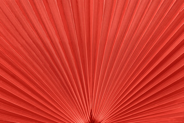 Natural background from nature, tinted in red.