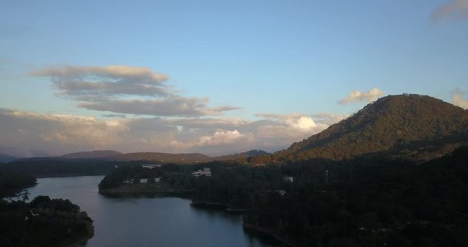 green pine forest in tuyen lam lake
