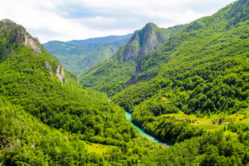 Fototapeta na wymiar Montenegro view. A picturesque canyon among the high mountains covered with green forest in Montenegro.